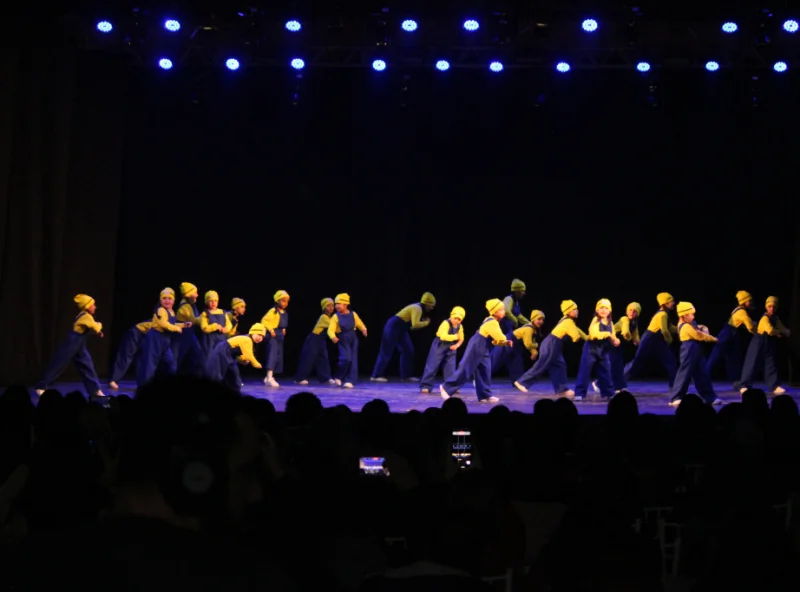 Instituto Phoenix