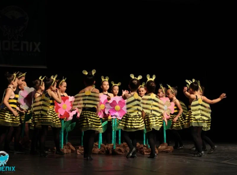 Instituto Phoenix