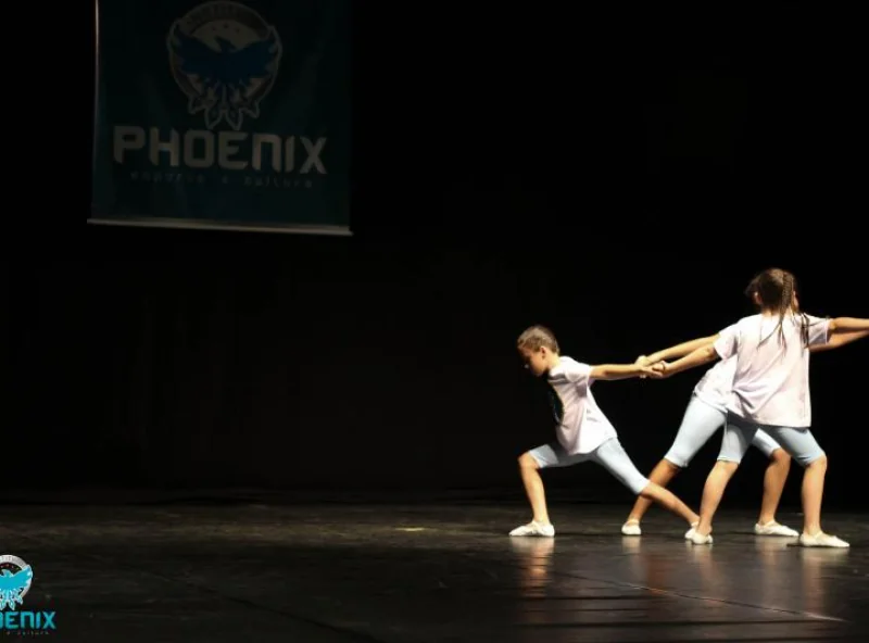 Instituto Phoenix