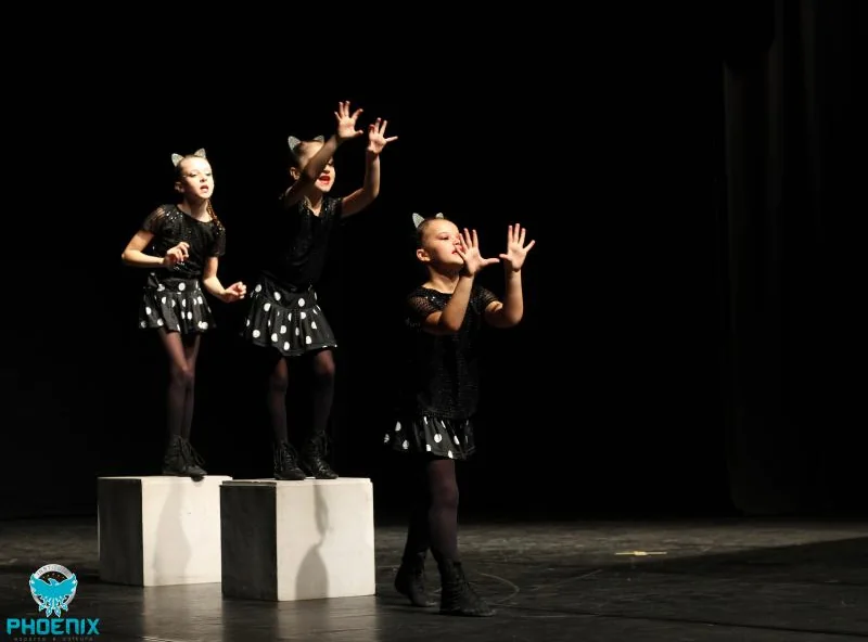 Instituto Phoenix