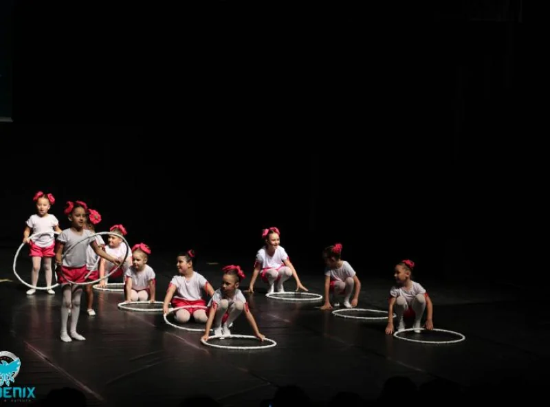 Instituto Phoenix