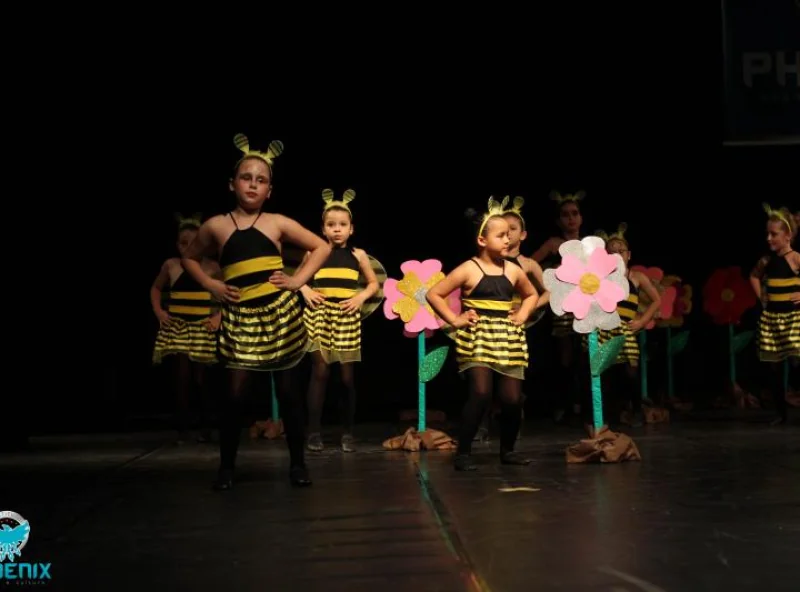 Instituto Phoenix