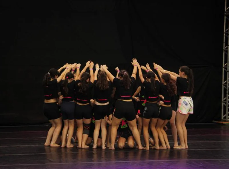 Instituto Phoenix
